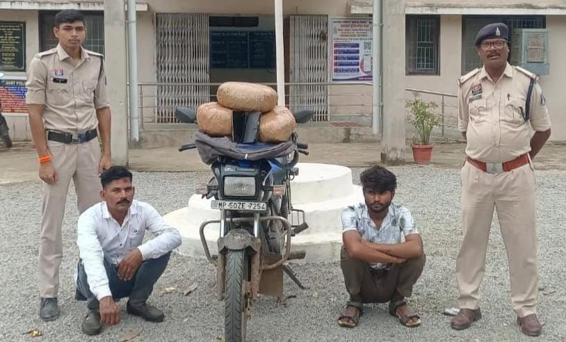 Father and son arrested with cannabis