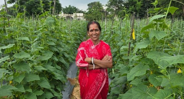 Bihan Mission : बिहान से जुड़कर सुभद्रा मंडल ने शुरू की खीरे की खेती