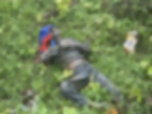 Raipur Crime News: सड़क किनारे नाली में मिला अधेड़ का शव, शनिवार शाम से था लापता