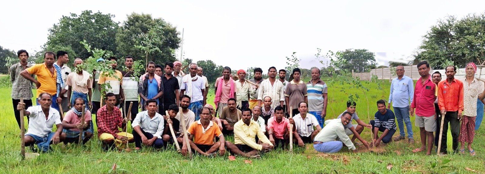Planting trees on Raksha Bandhan to protect government land