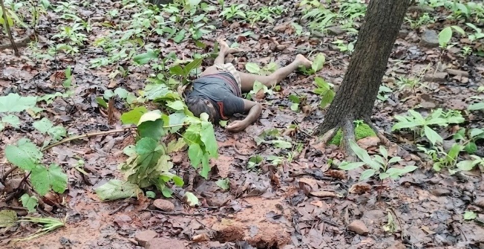 Villager killed in elephant attack