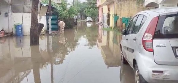 Raipur News: सेजबहार हाउसिंग बोर्ड कॉलोनी में जलभराव से बढ़ी परेशानी, गंदे पानी के बीच आवाजाही