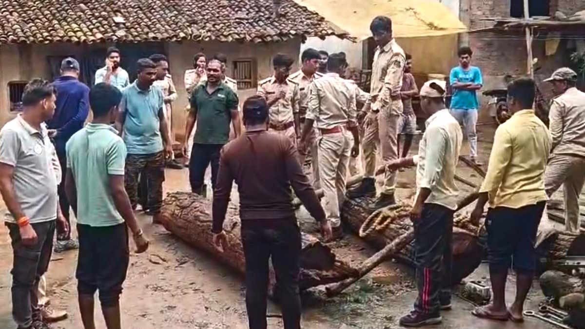 USTR action against timber smuggling (Image source: Keertiman Media)