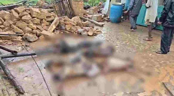 Shahdol Rain: बारिश के बीच भरभराकर गिरा कच्चा मकान, मलबे में दबा परिवार, 6 बकरियां भी दबी