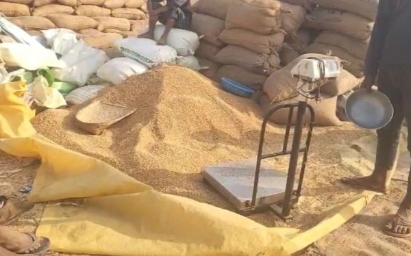 Paddy Purchase Centers: किसानों के लिए बड़ी सौगात, 21 नए धान खरीदी केंद्रों को मिली मंजूरी