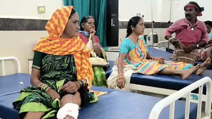 13 people injured in stray dog ​​attack( Image Source: Keertiman Media )