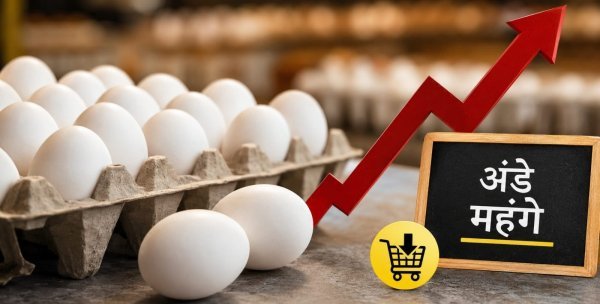 Egg Price Hike: 48% परिवारों ने घटाई अंडों की खरीदारी, क्वालिटी को लेकर भी बढ़ी चिंता