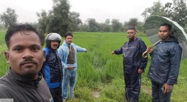 Mahasamund Elephant: बेकाबू दंतैल की दस्तक, राष्ट्रीय राजमार्ग-53 पर अलर्ट, कई गांवों में खतरे की घंटी