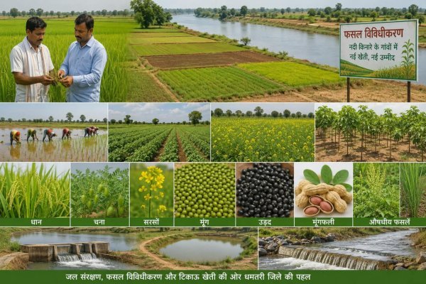 Chhattisgarh Agriculture: नदी किनारे के 152 गांवों में बदलेगा खेती का तरीका, 38 हजार किसानों को मिलेगा फायदा