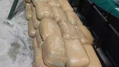 Mahasamund Ganja Smuggling: उड़ीसा से छत्तीसगढ़ लाया जा रहा गांजा जब्त