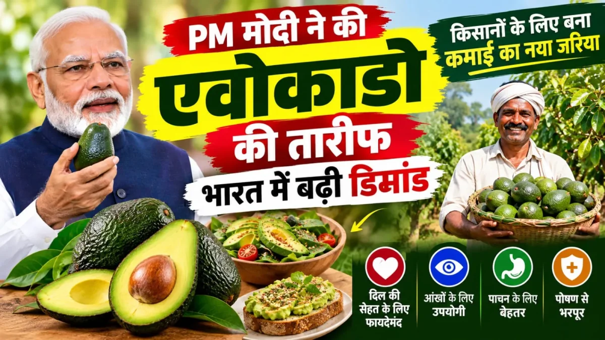 PM Modi praises avocado (  Image Source: Ai Photo)