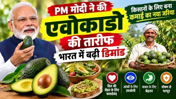 Avocado Benefits: पीएम मोदी ने की एवोकाडो की तारीफ, भारत में बढ़ी डिमांड, किसानों के लिए बना कमाई का नया जरिया