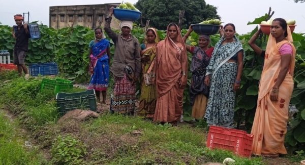 Chhattisgarh Women Farmers: बिहान समूह की 35 महिलाओं ने कमाए 6 लाख रुपए, 600 क्विंटल उत्पादन कर रचा रिकॉर्ड