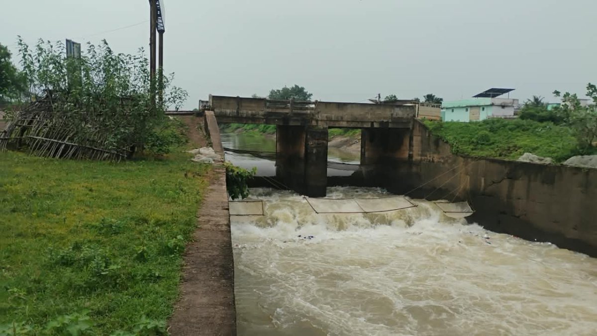 Farmers demand more water in Mahanadi canal (Image Source - Keertiman Media)