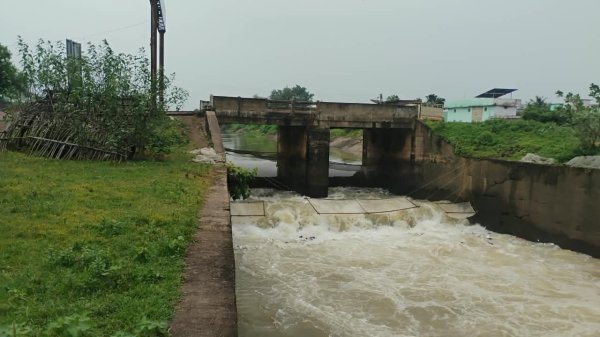 Farmers Irrigation Problems: महानदी मुख्य नहर में पानी की मात्रा बढ़ाने की मांग खेत सूखने लगे, निदाई दवा छिड़काव प्रभावित होने की आशंका