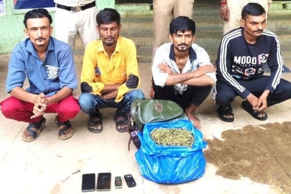 Ganja Smuggling: ओडिशा से कटनी और गुजरात तक फैला नेटवर्क ध्वस्त, पुलिस ने मुख्य सप्लायर समेत 6 को दबोचा