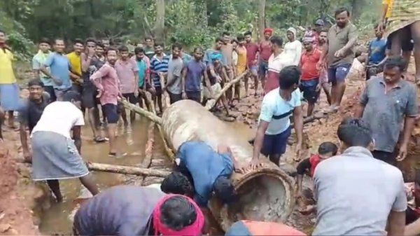Narayanpur News: सिस्टम से हारकर ग्रामीणों ने खुद बनाया रास्ता, लकड़ी के सहारे उठाया ह्यूम पाइप