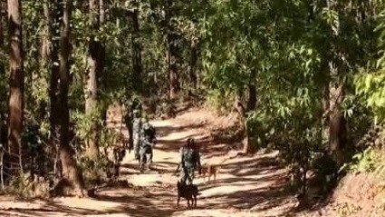 Jharkhand Maoist Surrender: सारंडा के तीन इनामी माओवादियों ने किया आत्मसमर्पण, 26 लाख रुपए का था इनाम