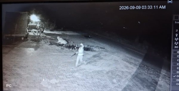 Dabra News: पेट्रोल पंप पर आधी रात फायरिंग, गोली लगने से पेट्रोल मशीन क्षतिग्रस्त, CCTV में कैद हुआ संदिग्ध