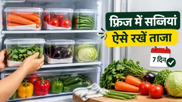 Vegetable Storage Ideas: फ्रिज में सब्जियां रखने का सही तरीका, इन आसान टिप्स से हफ्तेभर रहेंगी ताजी