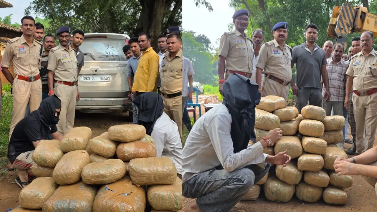Seized consignment of cannabis (Image Source: social media)