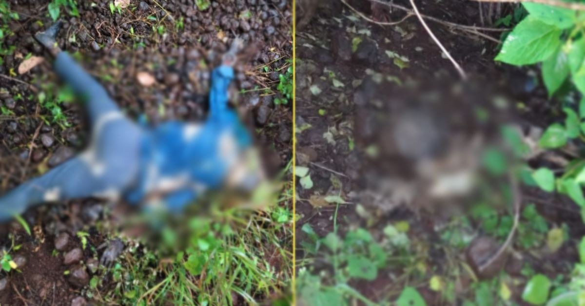 Ratlam missing couple skeleton case investigation(Image Source: Keertiman Media)