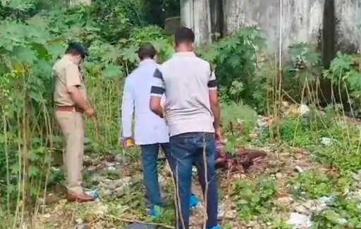 Raigarh murder case: युवक की हत्या, पुराने बस डिपो की झाड़ियों में मिला शव, पुलिस जांच जारी