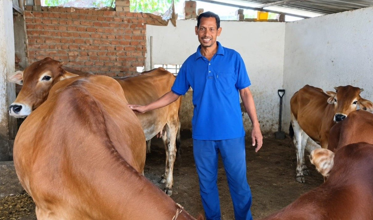 Chhattisgarh Agriculture: कृत्रिम गर्भाधान से बदली दयासागर की किस्मत, गौपालन बना बेहतर आय का जरिया