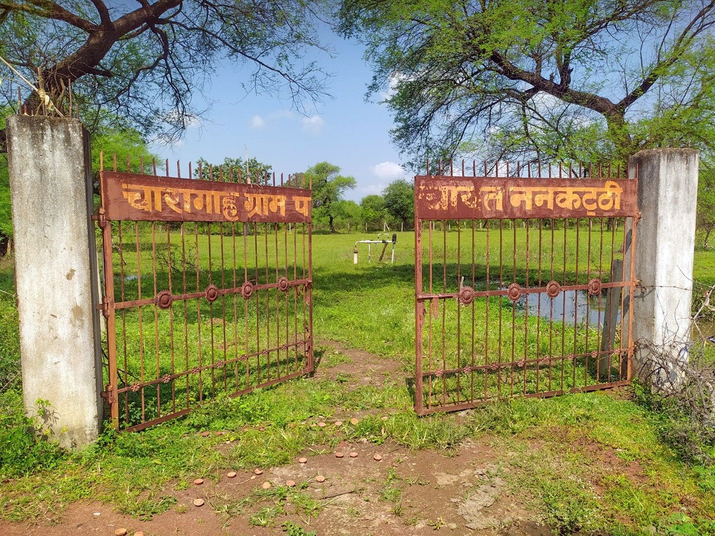 Chhattisgarh News: मनरेगा से बना चारागाह हुआ बदहाल, लाखों खर्च के बाद भी ननकट्ठी में व्यवस्था बेकार