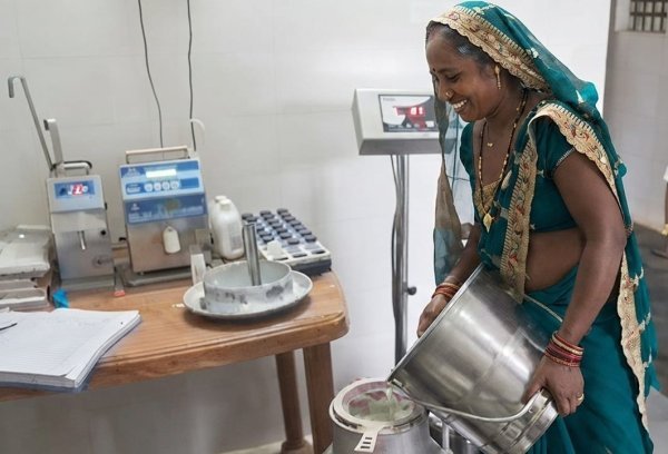 Mahasamund Dairy Scheme: मजदूरी छोड़ डेयरी बनी सहारा, महासमुंद की आदिवासी महिलाओं ने लिखी आत्मनिर्भरता की कहानी