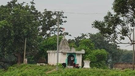 Bagbahara News: बागबाहरा में भालू की दहशत, भानपुर में नगर पालिका से मंदिर और गणेश पंडाल तक पहुंचा
