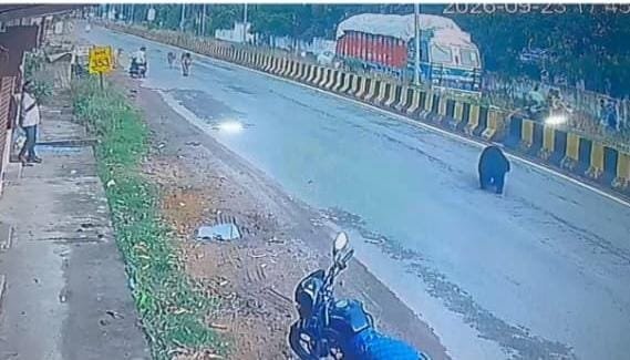 Bhanpur bear rescue: दो दिन बाद आबादी से बाहर हुआ भालू, वन विभाग ने संभाला मोर्चा