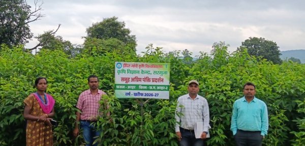 krishi vigyan kendra: सरगुजा में अरहर उत्पादन बढ़ाने की पहल, 55 हेक्टेयर में उन्नत खेती का प्रदर्शन