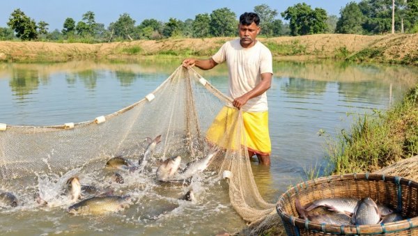Water Conservation: डबरी ने किसान प्रभु लाल को दी सिंचाई के साथ अतिरिक्त आय की राह