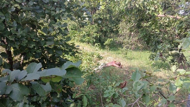 कोमाखान जंगल जली पिकअप और शव बरामद