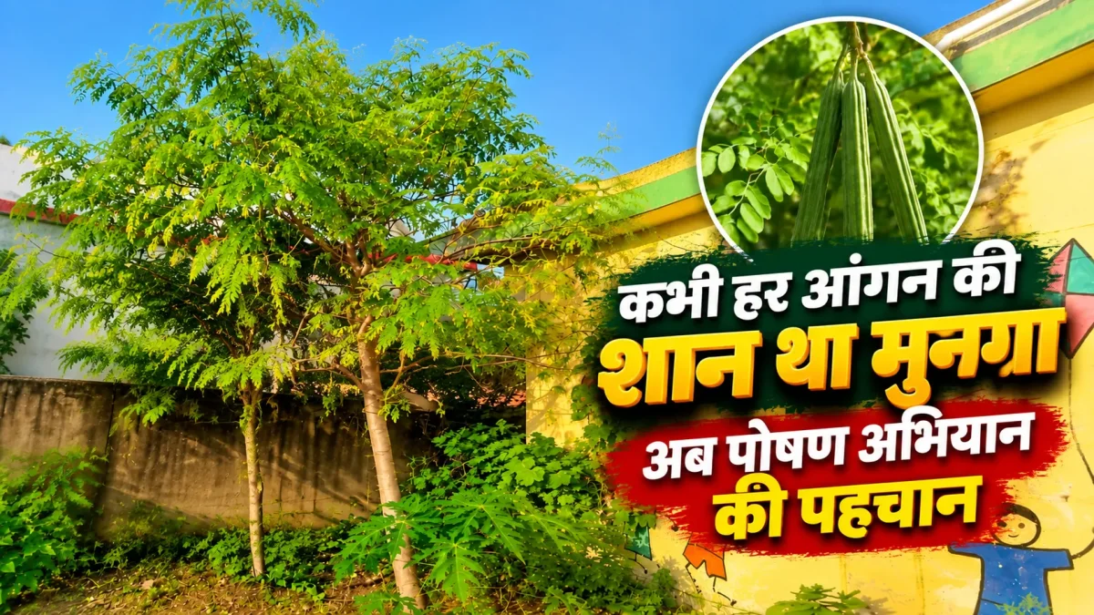 Moringa trees planted at Anganwadi center ( Image Source - Keertiman Media )