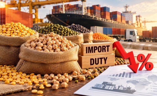 India Pulses Market: त्योहारों से पहले दालों के दाम पर सरकार का बड़ा कदम, चना-पीली मटर पर घट सकती है इंपोर्ट ड्यूटी