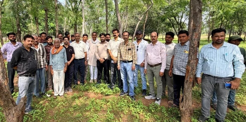 Chitrotpala Film City plantation drive(Image Source: CGDPR)