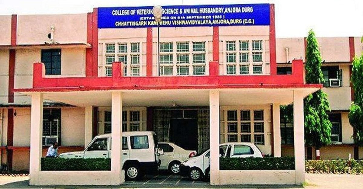 Durg University News: कामधेनु विश्वविद्यालय की भर्ती पर राजभवन की रोक, अगले आदेश तक प्रक्रिया स्थगित