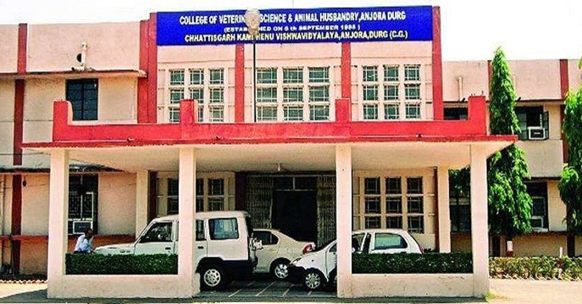 Stay on Kamdhenu University recruitment(Image Source: Keertiman Media)
