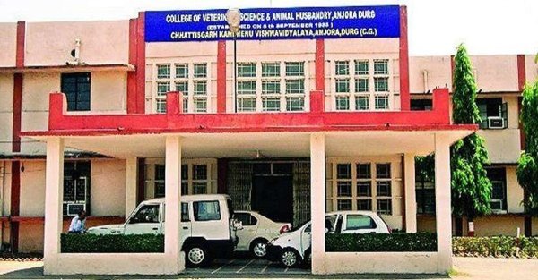 Durg University News: कामधेनु विश्वविद्यालय की भर्ती पर राजभवन की रोक, अगले आदेश तक प्रक्रिया स्थगित