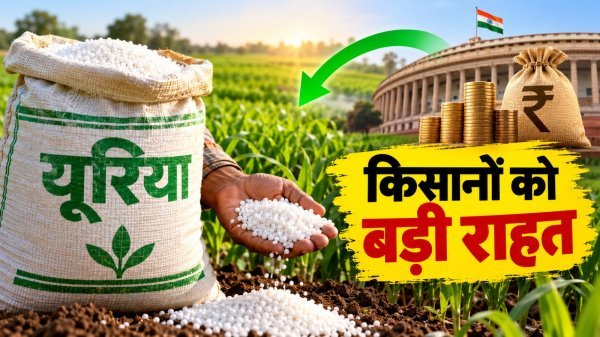 Farmer News: यूरिया की बढ़ती कीमतों के बीच किसानों को राहत, सरकार दे रही ₹2,700 तक की सब्सिडी