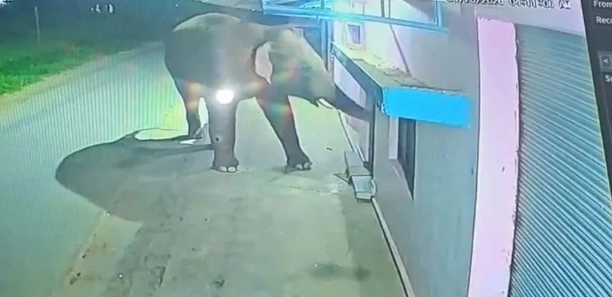 Surajpur Elephant Attack: कबरा हाथी का खौफ, ग्रामीण के घर तक पहुंचा हाथी, CCTV में कैद घटना