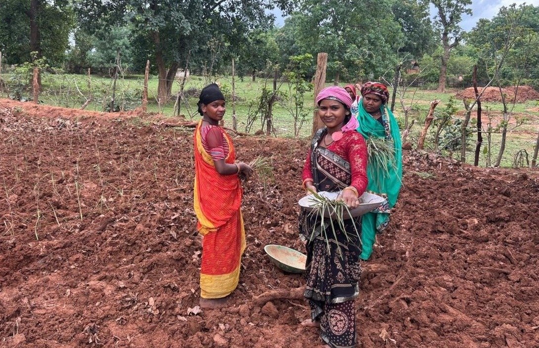 New Hope for Women: लेमन ग्रास की खेती से लखपति दीदी बनने की राह पर अमारू की महिलाएं