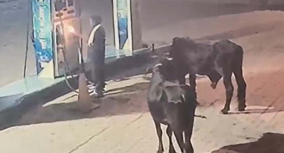 Petrol pump fire attempt in Magarlod, Dhamtari( Image Source: Social Media )