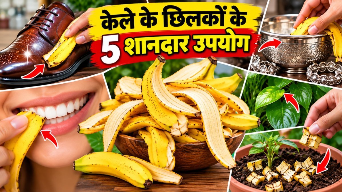 Banana Peel Uses (Image Source: AI Generated)