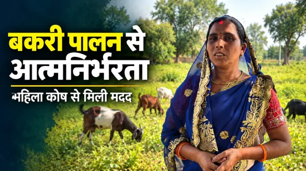 Women Empowerment: बकरी पालन से संवर रही जिंदगी, सुनैना कुर्रे ने अपनाया आजीविका का नया रास्ता