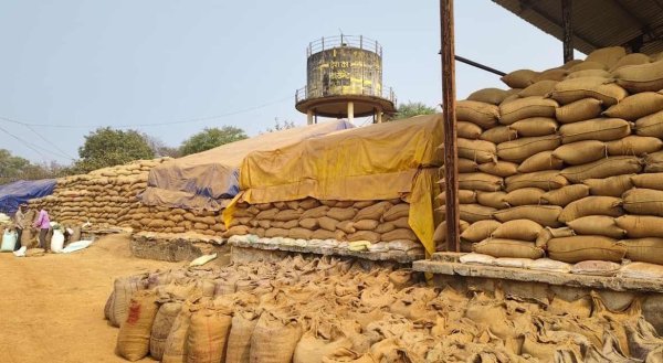 Paddy Procurement Season: 17.63 करोड़ के धान का हिसाब अधूरा, 8 समितियों पर FIR