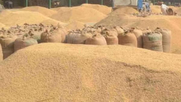 Paddy Procurement: धान खरीदी की तैयारियां तेज, न लगेगी लंबी कतार, न तौल में होगी गड़बड़ी, किसानों के लिए बने 35 कड़े नियम