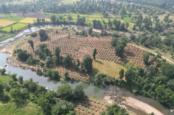Rainwater Harvesting: जल संरक्षण की बड़ी पहल, 24.30 लाख लीटर वर्षा जल सहेजने की व्यवस्था